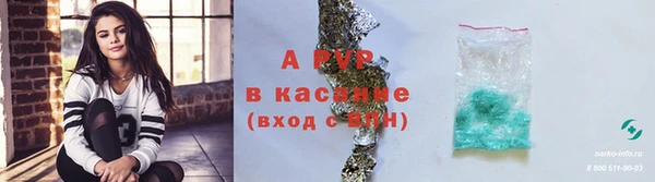 apvp Новодвинск