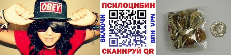 kraken онион  Тобольск  Псилоцибиновые грибы ЛСД 